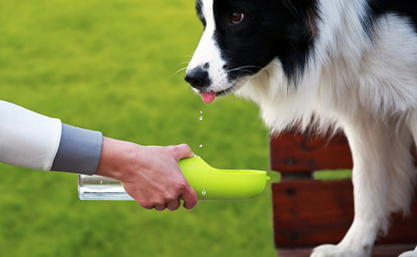 Portable pet water bottle dog drinking water dispenser cat drinking cup feeder antibacterial bowl-for outdoor walking travel by sooknewlook